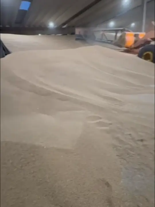 Vídeo da pá carregadeira John Deere 724 com implemento empurrador nivelando grãos no interior de um armazém